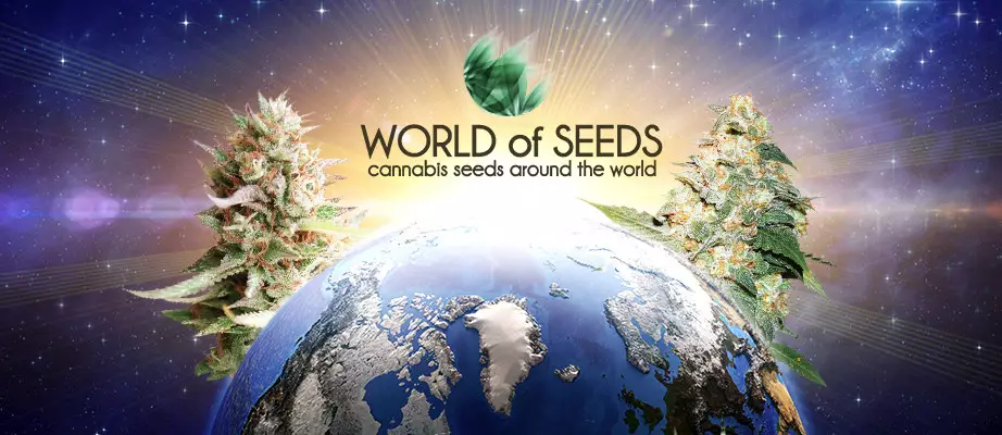 World Of Seeds World Of Seeds