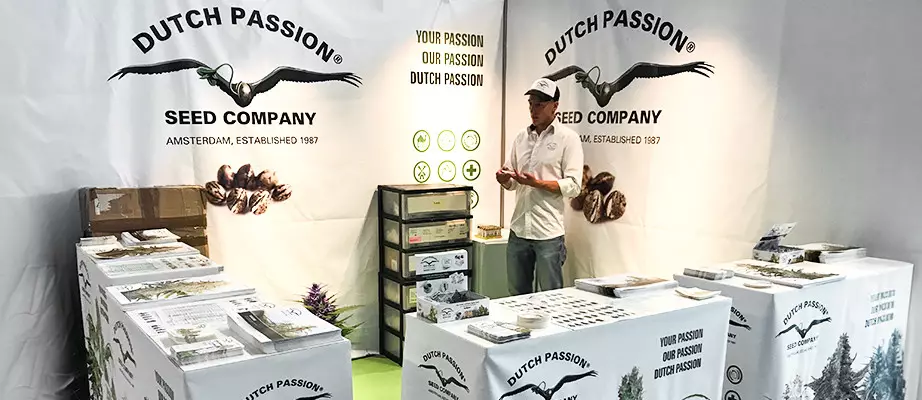 Dutch Passion Seeds