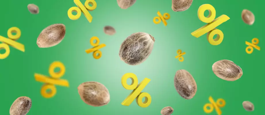 Сheap marijuana seeds cheap marijuana seeds