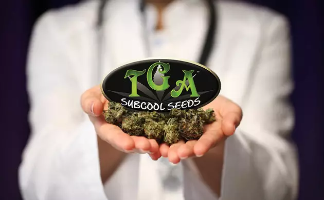 SubCool’s The Dank SubCool’s The Dank