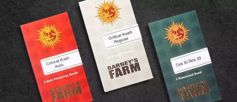 Cannabis strains by Barney's Farm Barney's Farm seeds