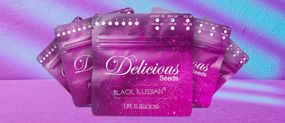 Marijuana strains by Delicious Seeds Delicious Seeds buy seeds