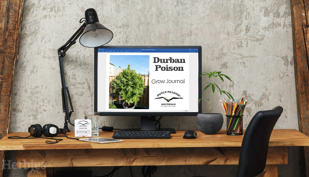Durban Poison Outdoor Grow Journal