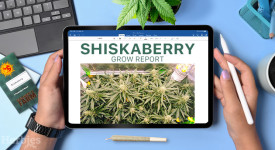 Shiskaberry Grow Journal