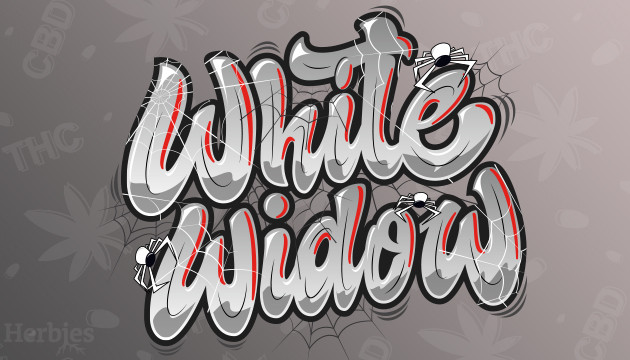 white widow strain